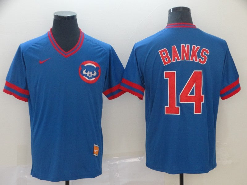 Men's Chicago Cubs Ernie Banks #14 Blue Jersey